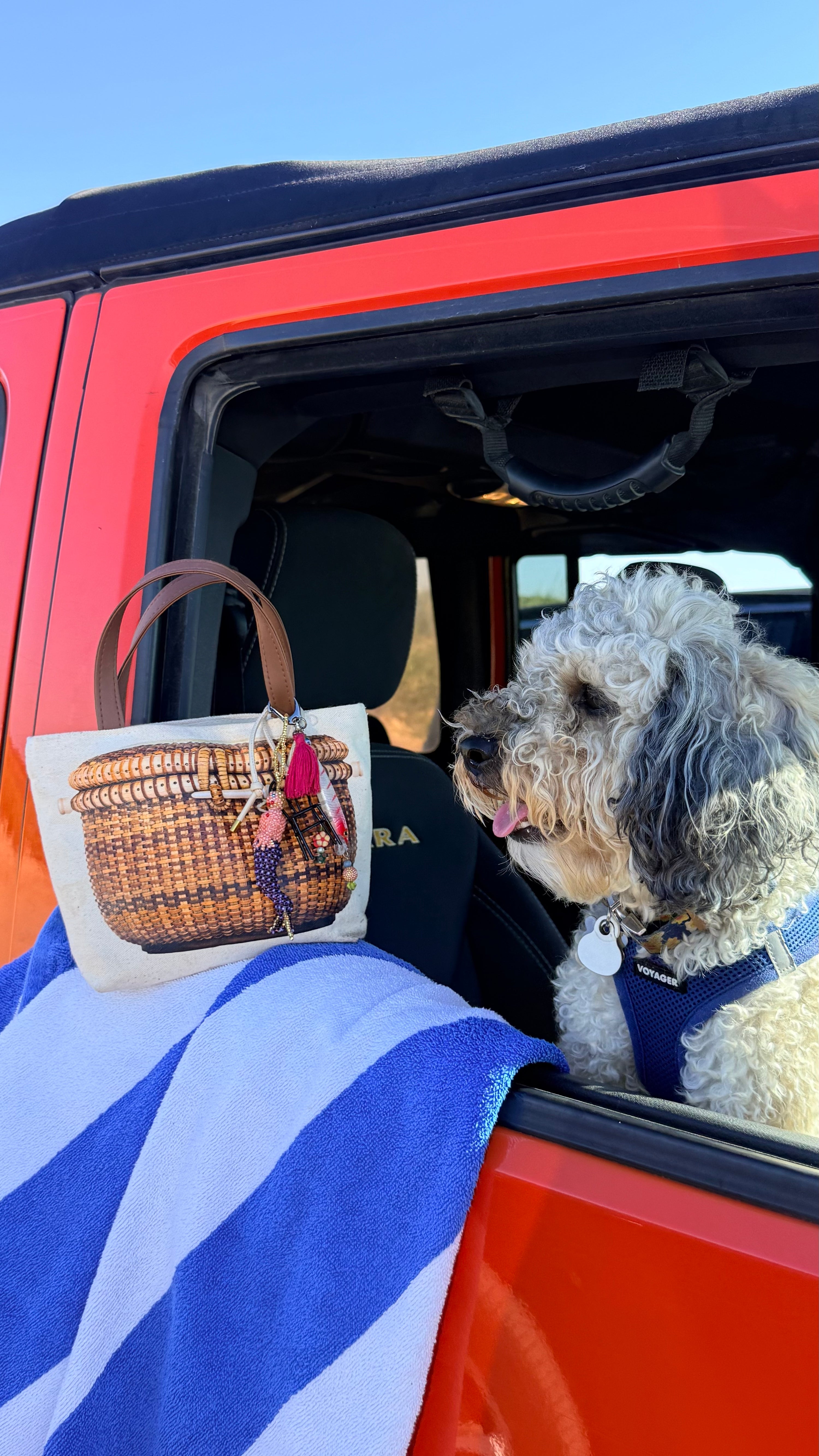 THE CANVAS BAG